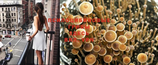 мяу мяу мука Беломорск