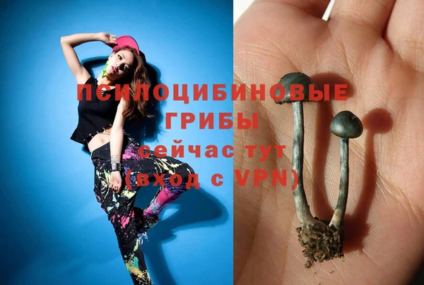 мяу мяу мука Беломорск