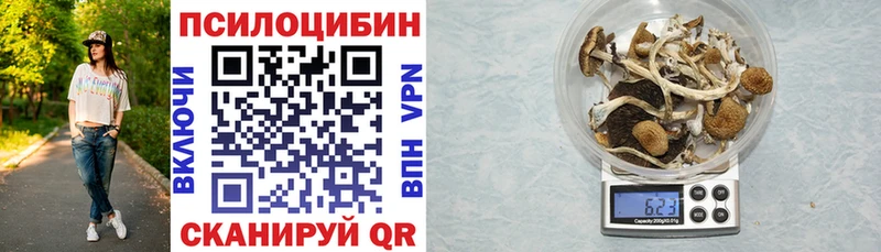 наркота  Нововоронеж  Псилоцибиновые грибы Cubensis 