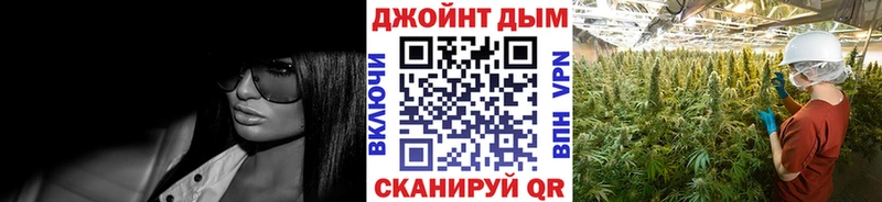 цена наркотик  kraken маркетплейс  МАРИХУАНА план  сайты даркнета формула  Нововоронеж 